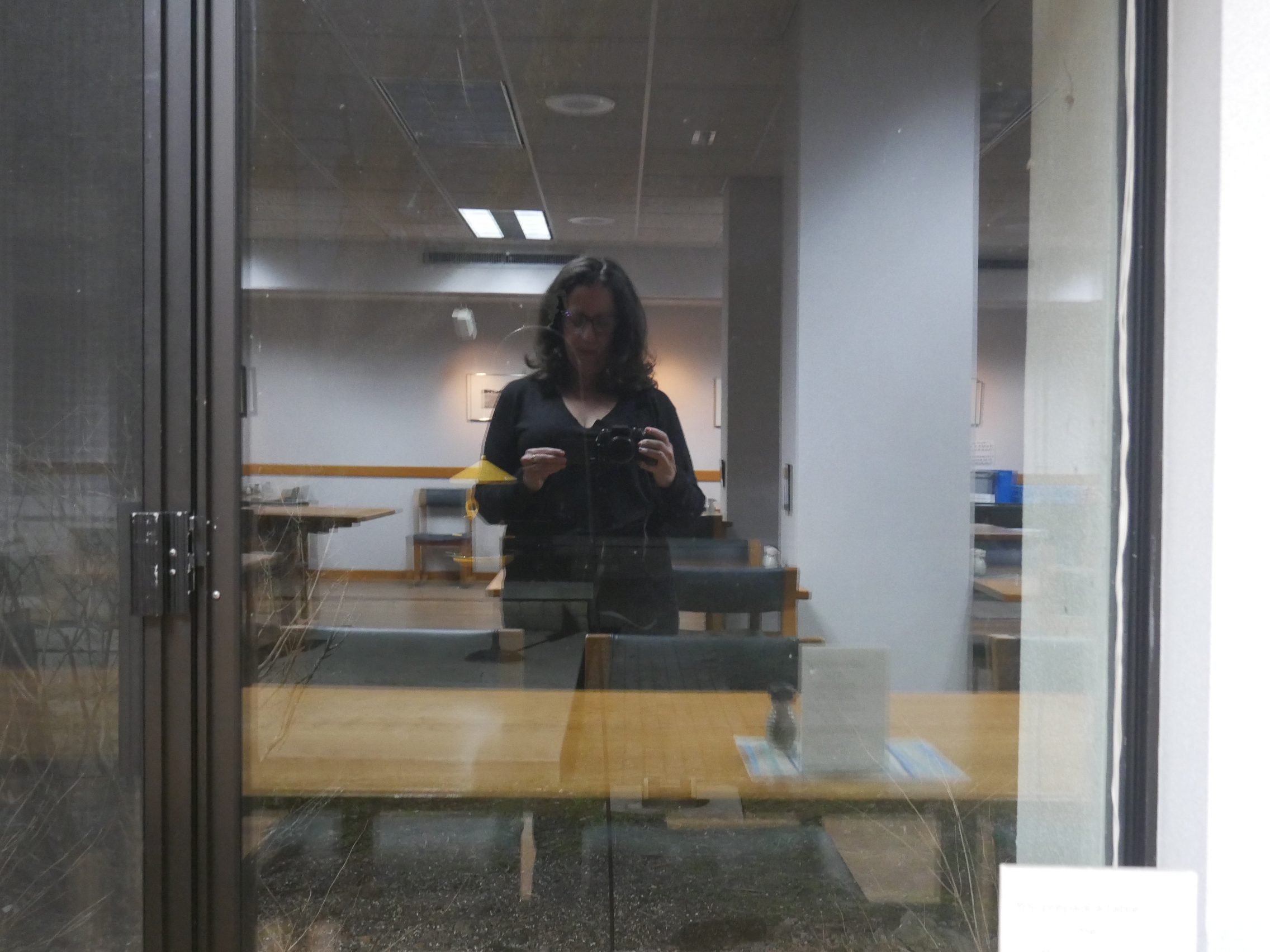 Image in reflective window